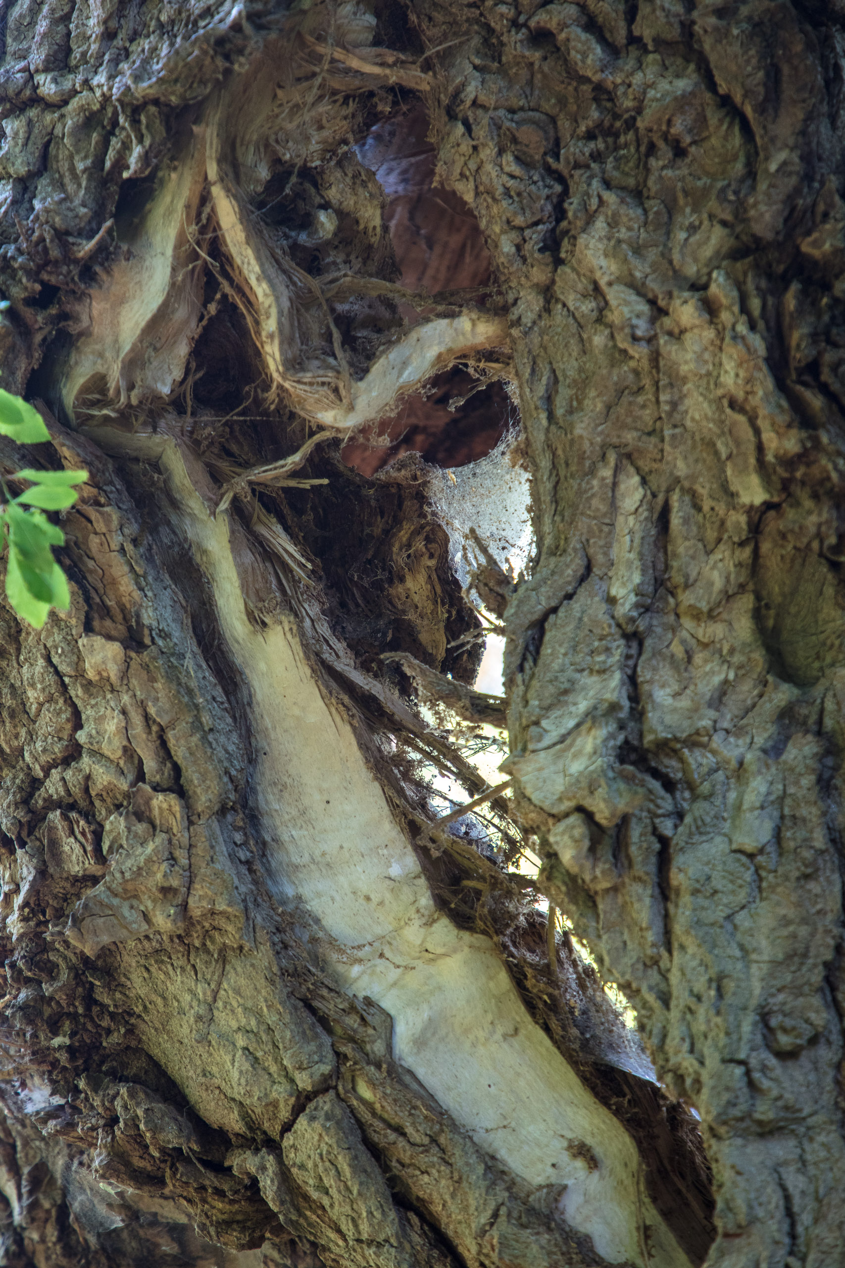 20220508123730 DP017520